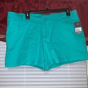 Teal Shorts
